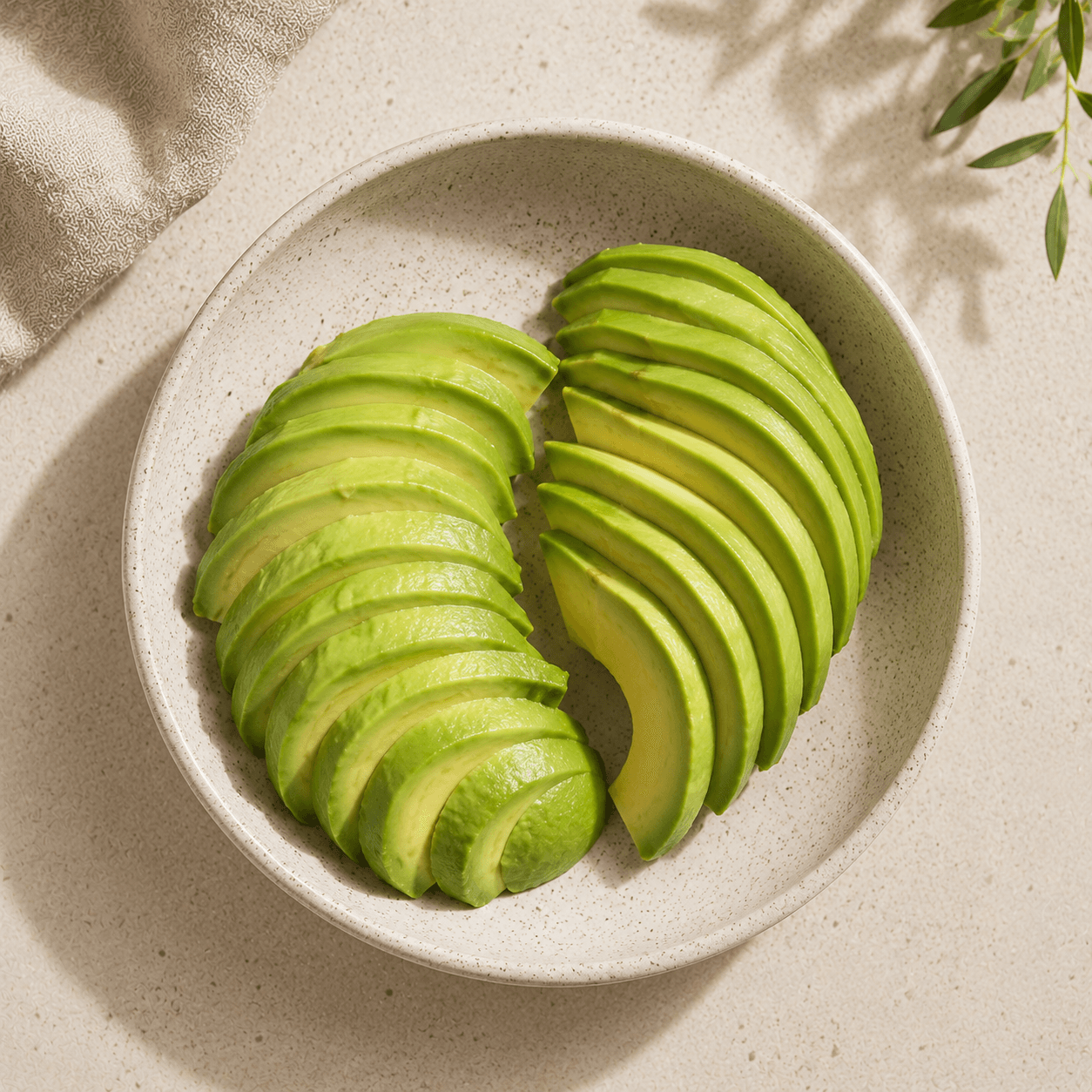 Avocado