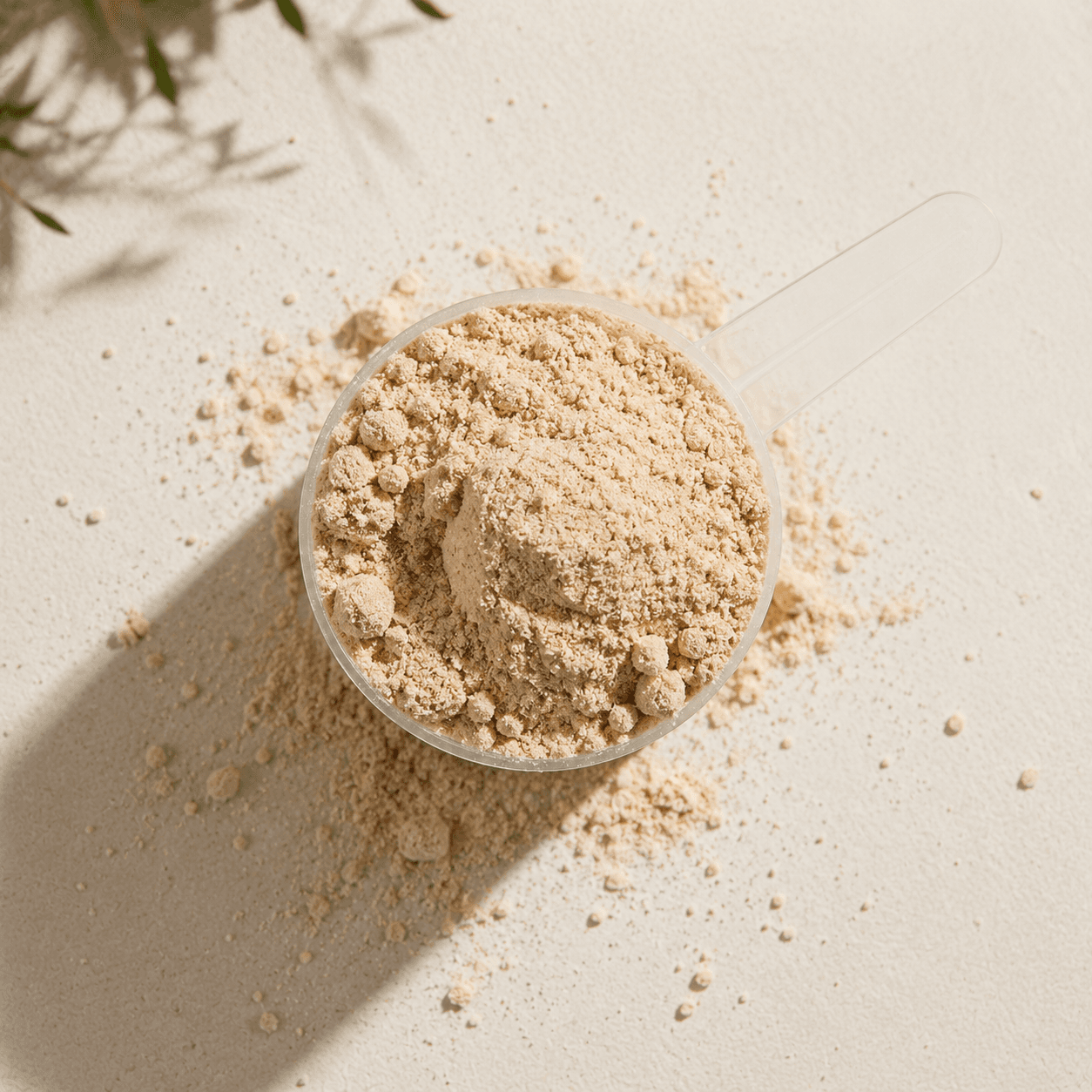 Plant Protein Blend